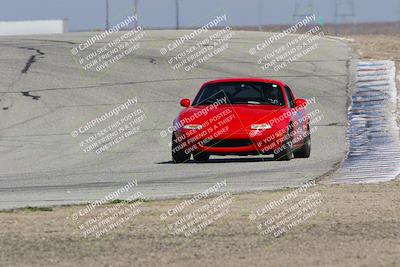 media/Feb-04-2023-Turn8 Trackdays (Sat) [[beeaee2017]]/Intermediate 1/Session 3 (Outside Grapevine)/